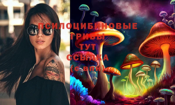 спиды Богородск