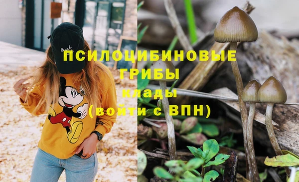 наркотики Богданович