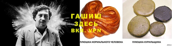 мдпв Богородицк