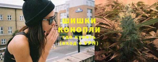 мдпв Богородицк
