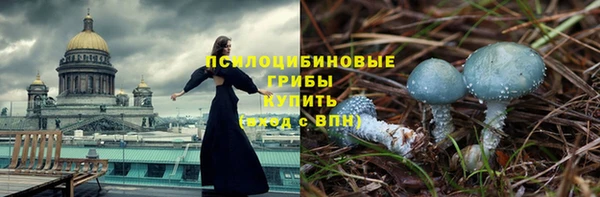 спиды Богородск