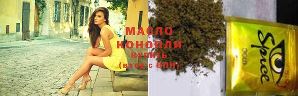 мдпв Богородицк