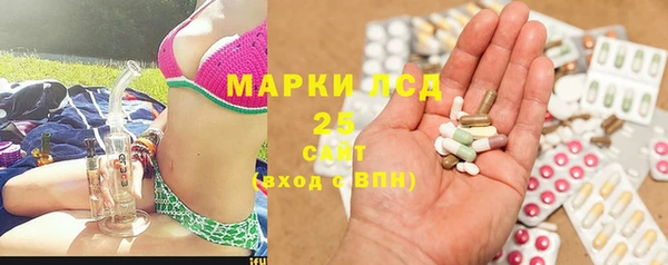 мдпв Богородицк