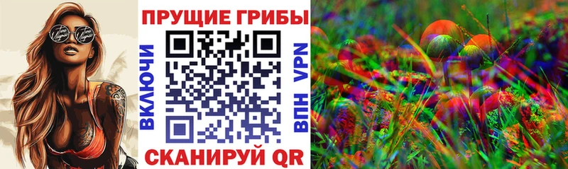 Псилоцибиновые грибы GOLDEN TEACHER  Дагестанские Огни 
